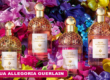 Parfums Aqua Allegoria Guerlain | Fraîcheur et Élégance