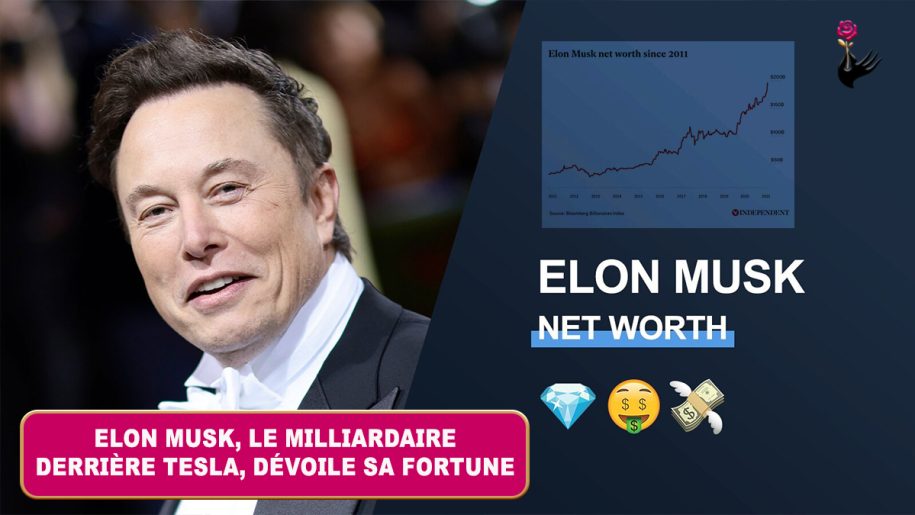 Elon Musk, le milliardaire derrière Tesla, dévoile sa fortune