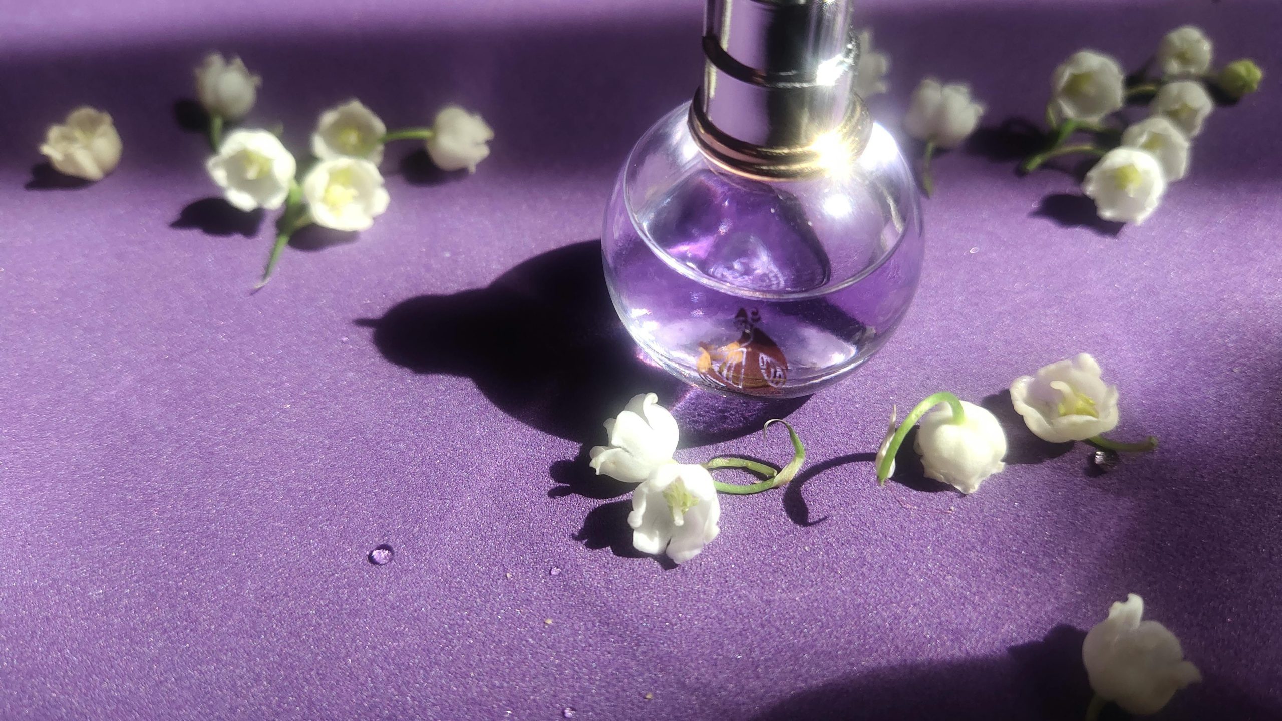 Comment choisir son parfum : notre guide complet