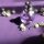 Comment choisir son parfum : notre guide complet
